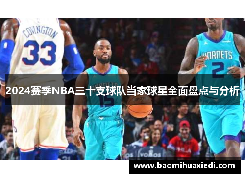 2024赛季NBA三十支球队当家球星全面盘点与分析